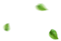 leaf3